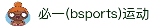 必一·运动(bsports)官方网站